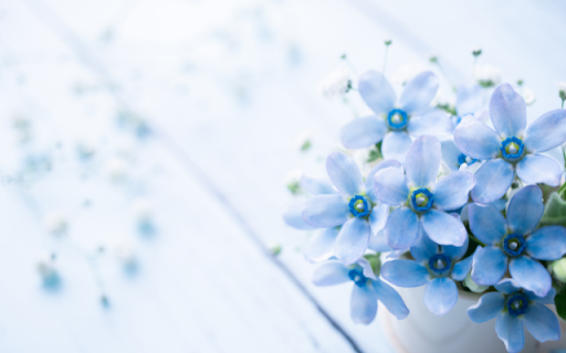 Small Blue Five Petal Flower Theme: A Serene and Elegant Design  from Chrome web store to be run with OffiDocs Chromium online