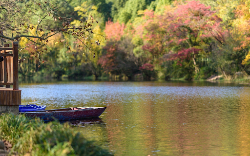 Small boat on the river  from Chrome web store to be run with OffiDocs Chromium online