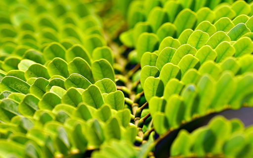 Small branches and leaves  from Chrome web store to be run with OffiDocs Chromium online