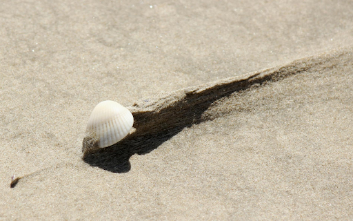 Small Coconut Tree  from Chrome web store to be run with OffiDocs Chromium online