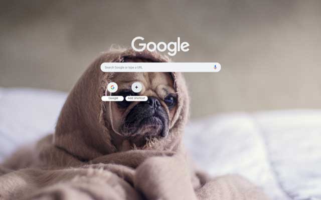 Kołdra dla małych psów ze sklepu internetowego Chrome, którą można uruchomić w trybie online OffiDocs Chromium