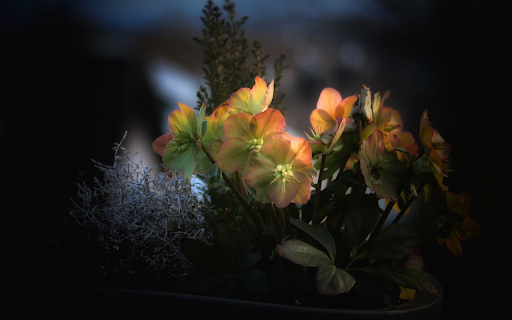 Small flower tree  from Chrome web store to be run with OffiDocs Chromium online