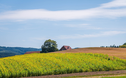 Small house and flower field  from Chrome web store to be run with OffiDocs Chromium online