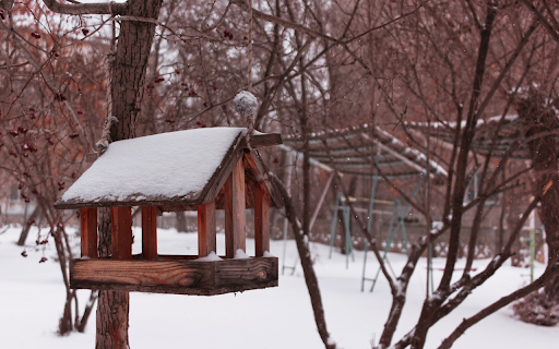 Small house on a tree  from Chrome web store to be run with OffiDocs Chromium online