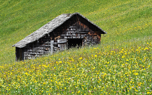 Small house on the prairie  from Chrome web store to be run with OffiDocs Chromium online