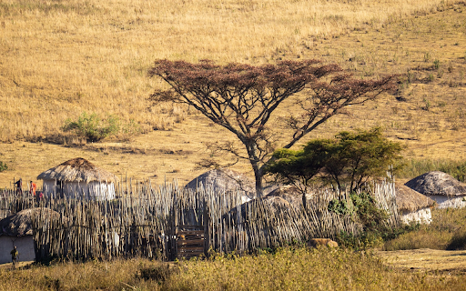 Small huts on dry fields from Chrome web store to be run with OffiDocs Chromium online Small huts on dry fields from Chrome web store to be run with OffiDocs Chromium online