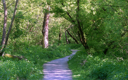 Small path into the green forest  from Chrome web store to be run with OffiDocs Chromium online