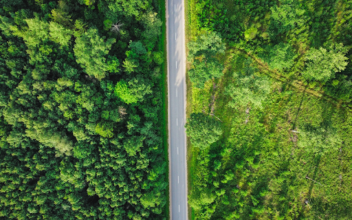 Small road through the forest  from Chrome web store to be run with OffiDocs Chromium online