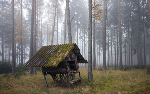 Small tent in the forest  from Chrome web store to be run with OffiDocs Chromium online