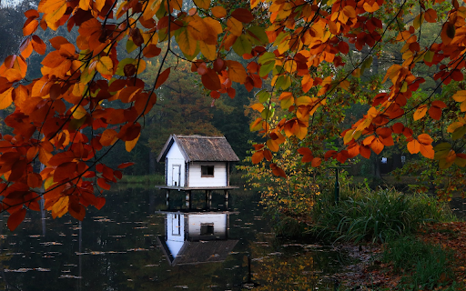 Small tent in the middle of the lake  from Chrome web store to be run with OffiDocs Chromium online