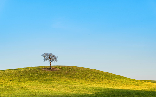 Small Tree on Grassy Hill  from Chrome web store to be run with OffiDocs Chromium online