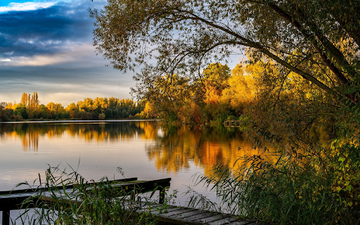 Small wooden bridge by the lake  from Chrome web store to be run with OffiDocs Chromium online