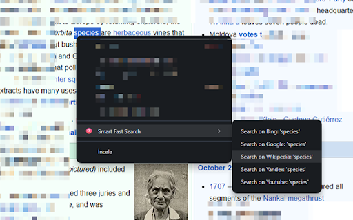 Smart Fast Multiple Search  from Chrome web store to be run with OffiDocs Chromium online