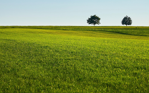 Smooth Green Grass  from Chrome web store to be run with OffiDocs Chromium online