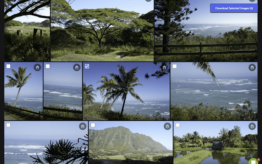 SmugMug Bulk Image Downloader  from Chrome web store to be run with OffiDocs Chromium online