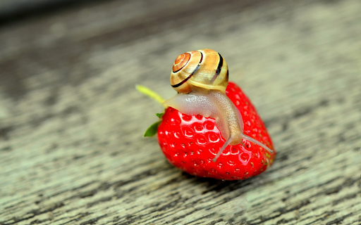 Snail and strawberry  from Chrome web store to be run with OffiDocs Chromium online