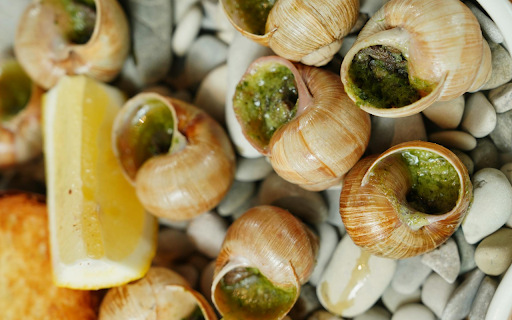 Snails and Oranges  from Chrome web store to be run with OffiDocs Chromium online