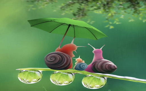 Snail with umbrella wallpaper  from Chrome web store to be run with OffiDocs Chromium online