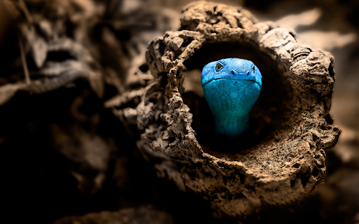 Snake nest trunk  from Chrome web store to be run with OffiDocs Chromium online
