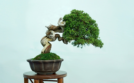 Snake tree  from Chrome web store to be run with OffiDocs Chromium online