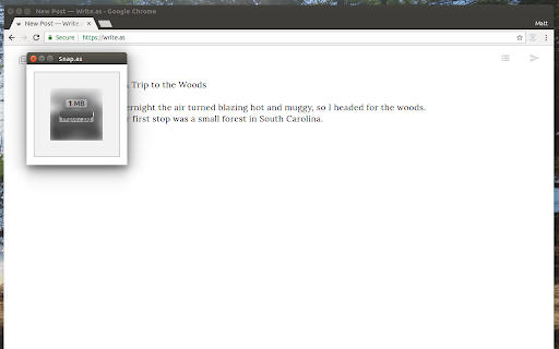 Snap.as  from Chrome web store to be run with OffiDocs Chromium online