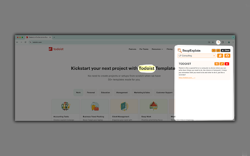 SnapExplain  from Chrome web store to be run with OffiDocs Chromium online