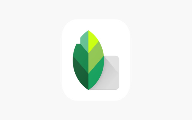 Snapseed for PC/MAC  from Chrome web store to be run with OffiDocs Chromium online