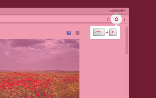 SnapSite  from Chrome web store to be run with OffiDocs Chromium online