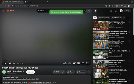 SnapStudy  from Chrome web store to be run with OffiDocs Chromium online