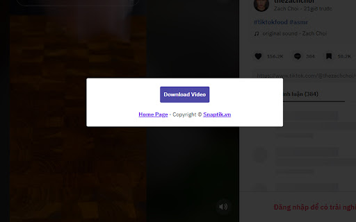 Snaptik  from Chrome web store to be run with OffiDocs Chromium online