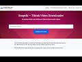 Snaptik Tiktok Video Downloader  from Chrome web store to be run with OffiDocs Chromium online