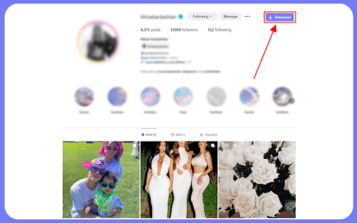 SnapVideo Downloader for I.G  from Chrome web store to be run with OffiDocs Chromium online