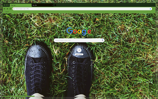 Sneakers on the grass  from Chrome web store to be run with OffiDocs Chromium online