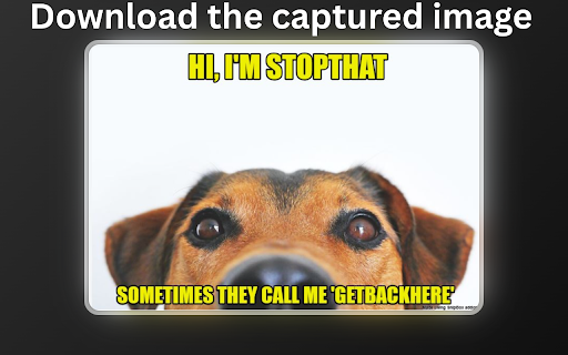SnipBox — Lets make this Meme worthy!  from Chrome web store to be run with OffiDocs Chromium online