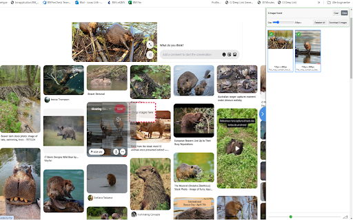 SnipSnap The ultimate selection tool  from Chrome web store to be run with OffiDocs Chromium online