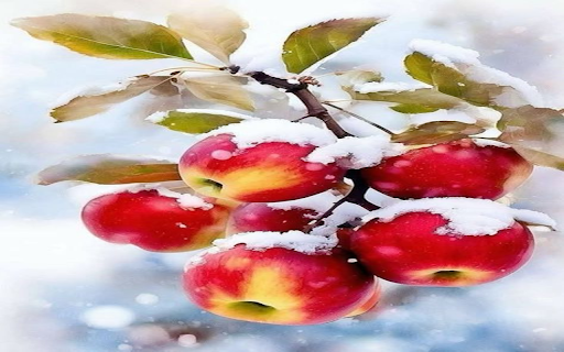 Snow covered apple branch wallpaper  from Chrome web store to be run with OffiDocs Chromium online