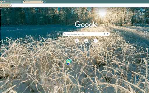 snow covered trees and frost tipped grass  from Chrome web store to be run with OffiDocs Chromium online