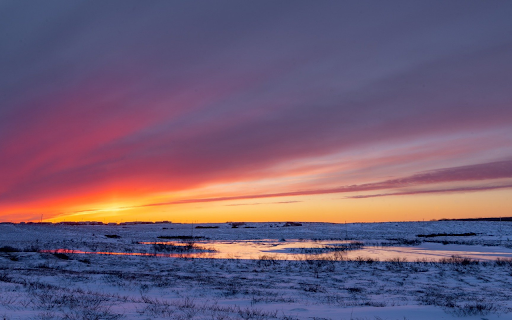 Snow field  from Chrome web store to be run with OffiDocs Chromium online
