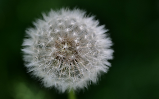 Snowflake ball  from Chrome web store to be run with OffiDocs Chromium online