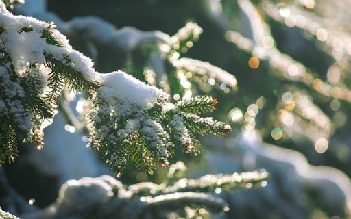 SNOW Theme  from Chrome web store to be run with OffiDocs Chromium online