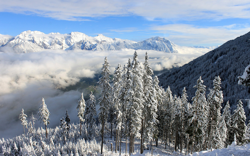 Snowy forest  from Chrome web store to be run with OffiDocs Chromium online