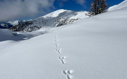 Snowy mountains and footprints  from Chrome web store to be run with OffiDocs Chromium online