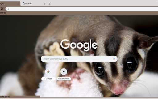 Soc Bay  from Chrome web store to be run with OffiDocs Chromium online