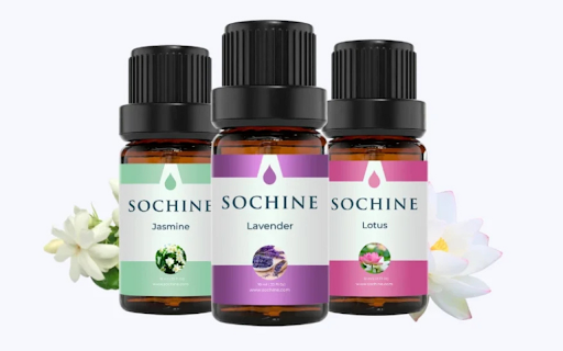 Sochine  from Chrome web store to be run with OffiDocs Chromium online