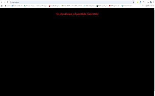Social Media Content Filter  from Chrome web store to be run with OffiDocs Chromium online