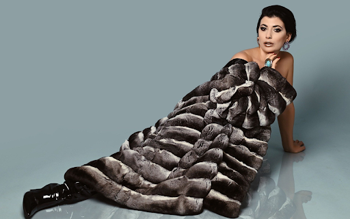 Soft fur coat  from Chrome web store to be run with OffiDocs Chromium online