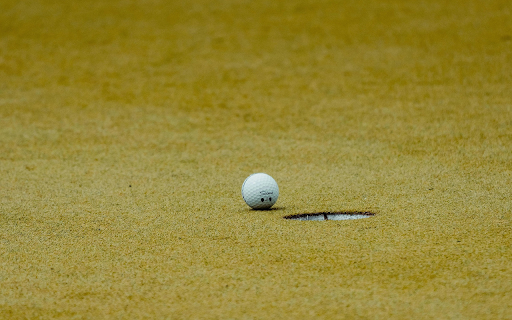 Soft Grass Golf Course  from Chrome web store to be run with OffiDocs Chromium online