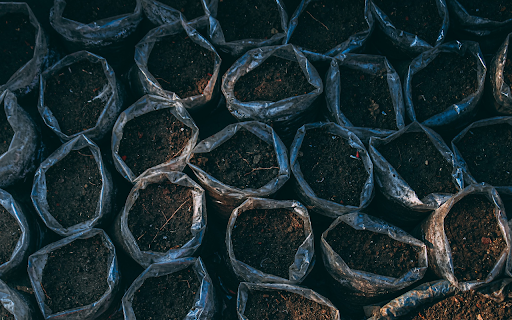 Soil for planting seeds  from Chrome web store to be run with OffiDocs Chromium online