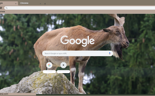 Son Duong  from Chrome web store to be run with OffiDocs Chromium online