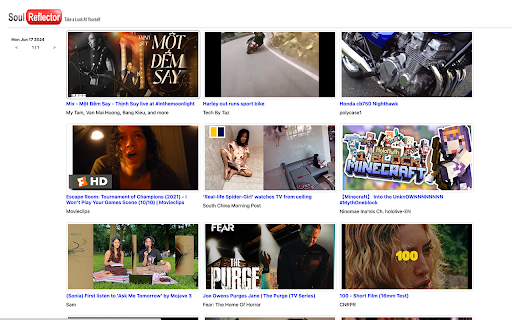Soul Reflector  from Chrome web store to be run with OffiDocs Chromium online